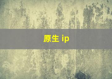 原生 ip